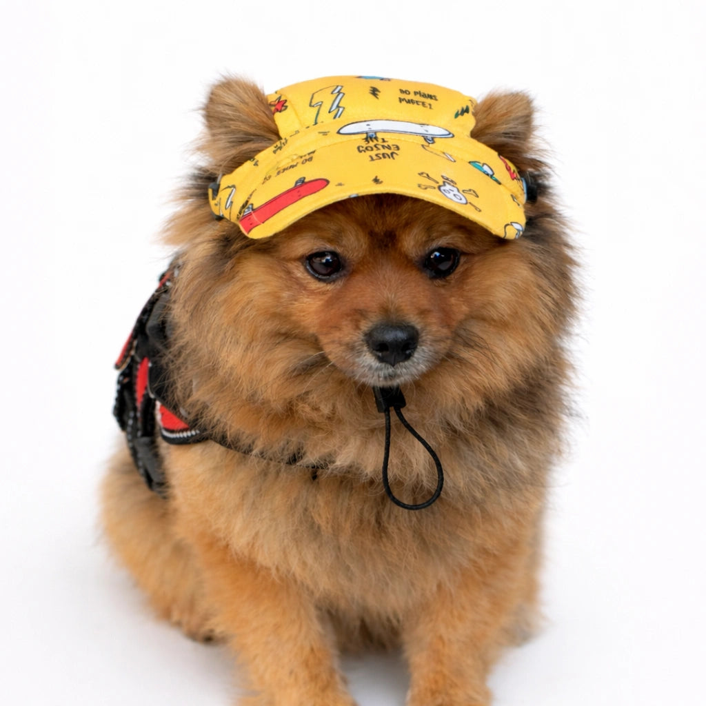 Thunder Tails Doodle Cap