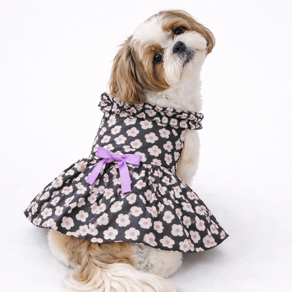 Thunder Tails Black Floral Frock