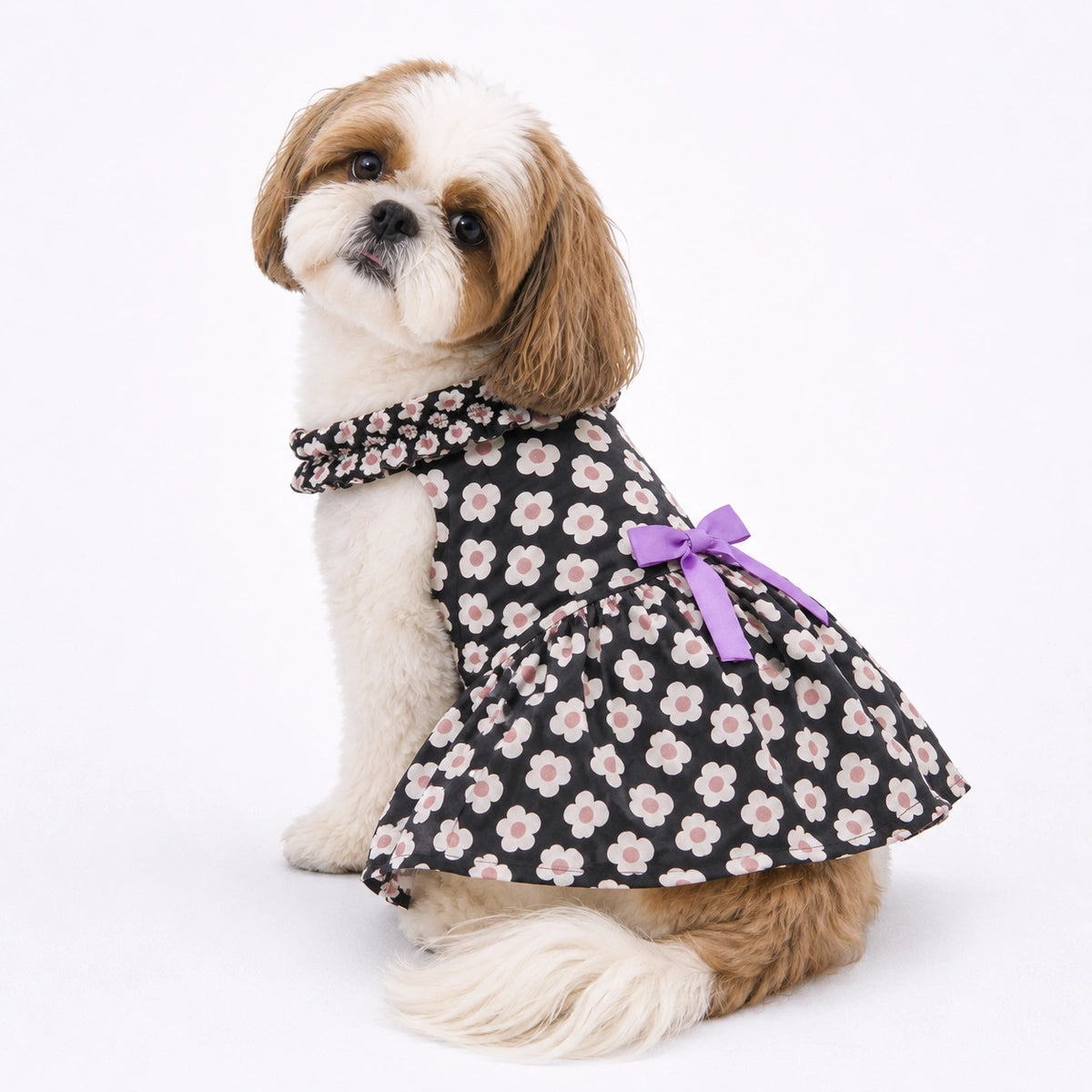 Thunder Tails Black Floral Frock