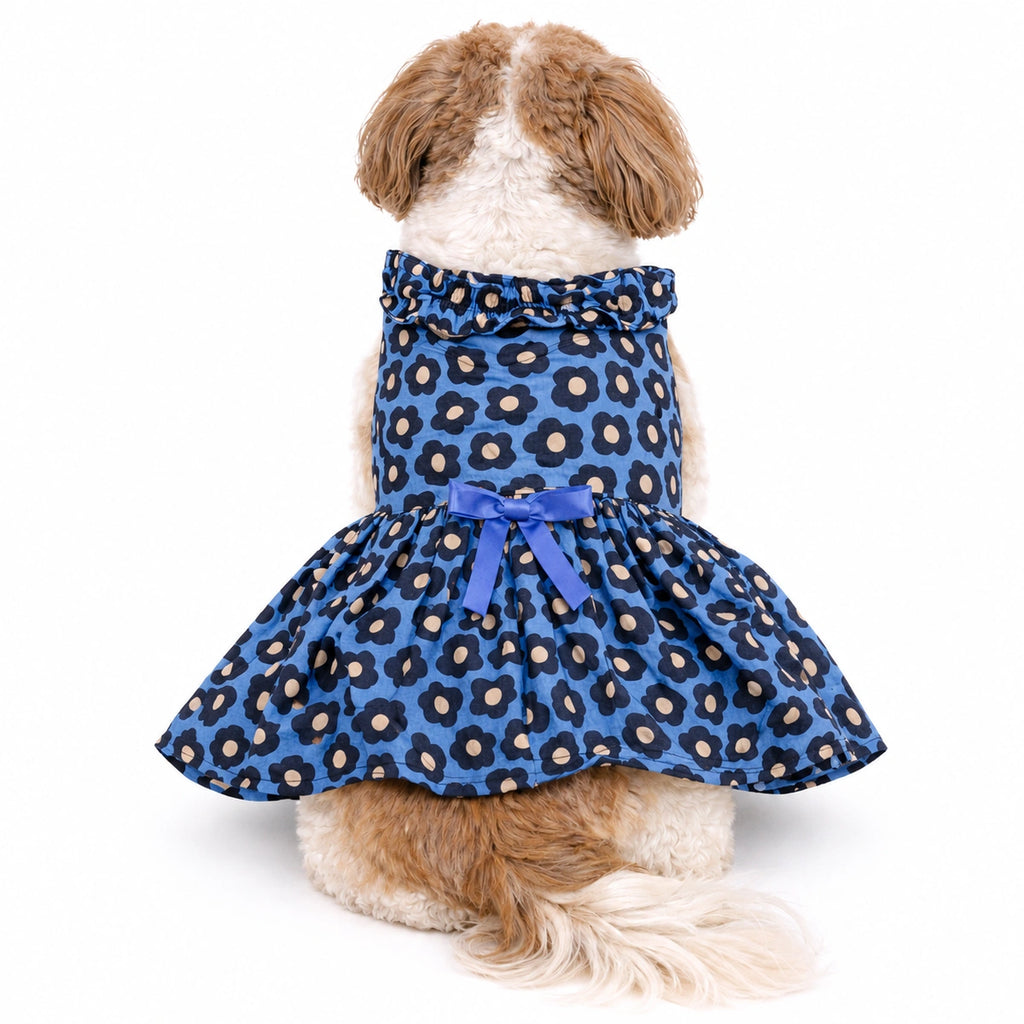 Thunder Tails Blue Floral Frock
