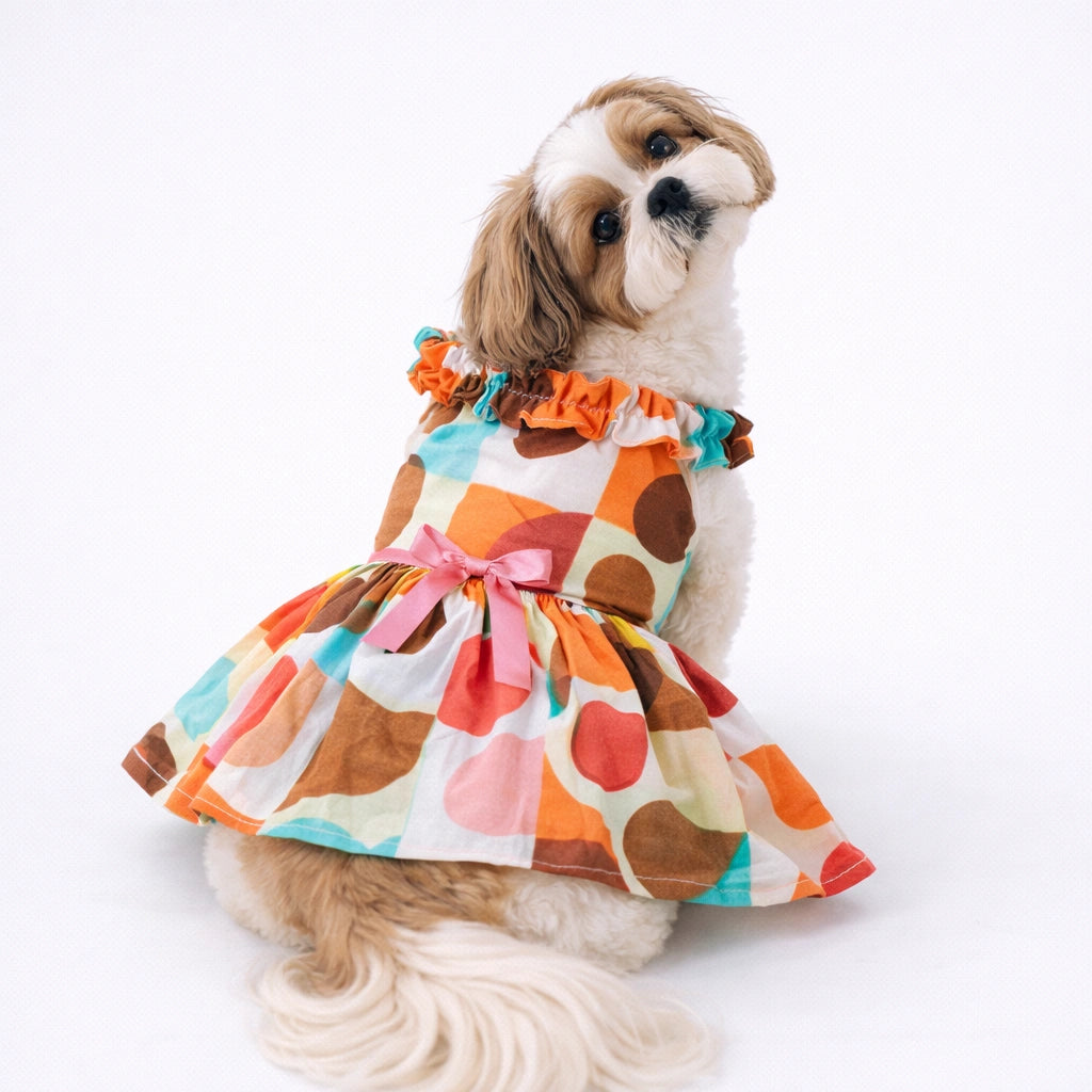Thunder Tails Multicolor Frock