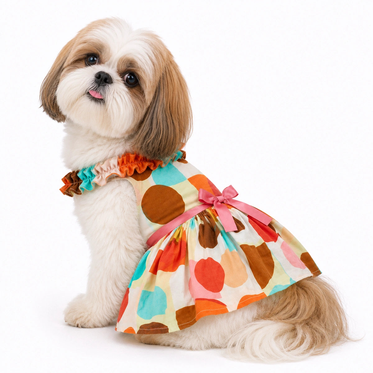 Thunder Tails Multicolor Frock