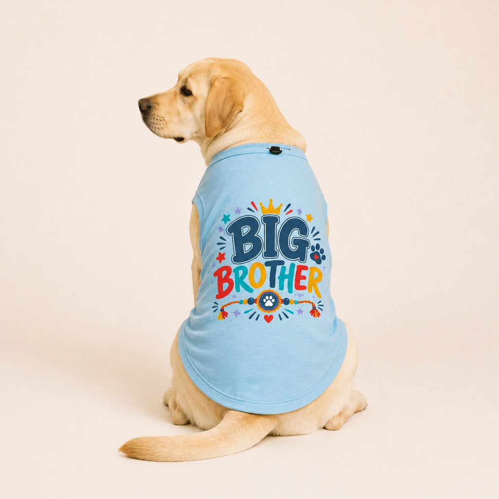 Thunder Tails Big Brother Adjustable Graphic T-shirt