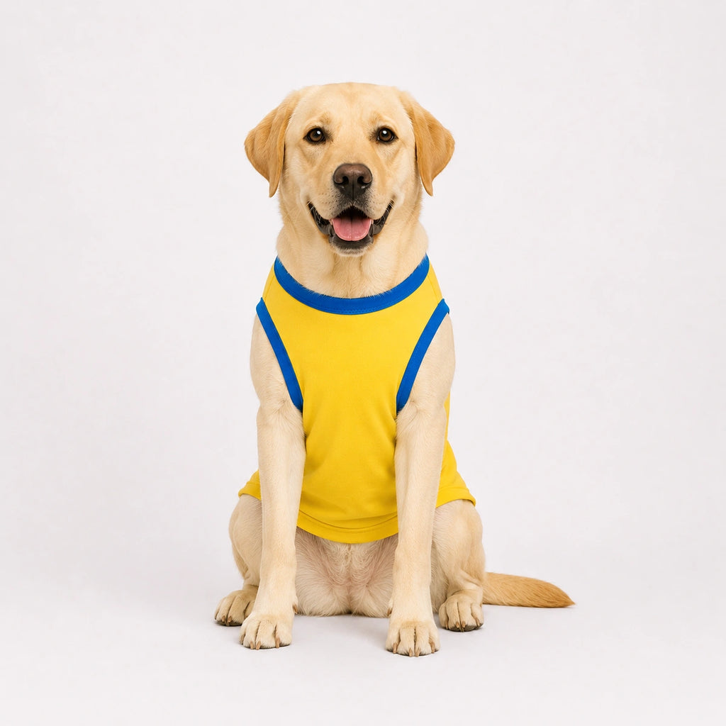 Thunder Tails Pampered Baby Adjustable Graphic T-shirt