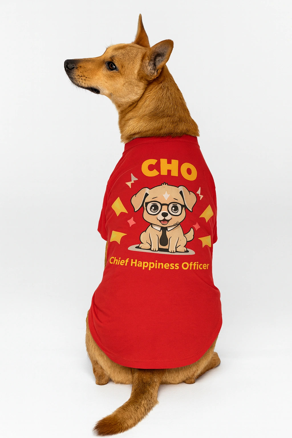 Thunder Tails CHO T-shirts