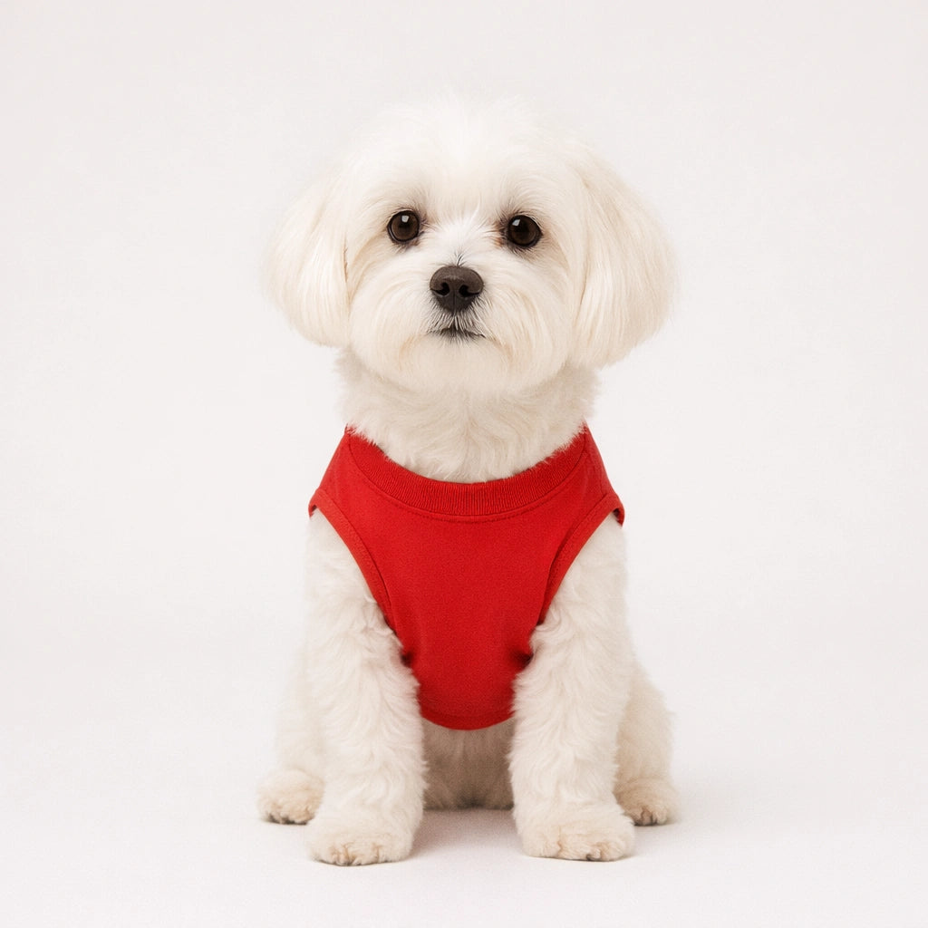 Thunder Tails CHO T-shirts
