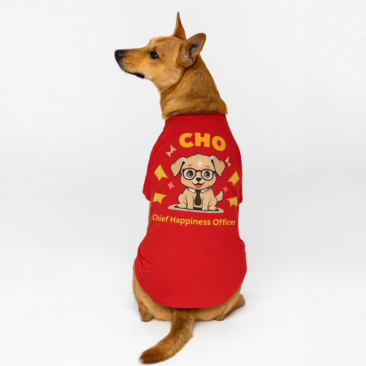 Thunder Tails CHO T-shirts