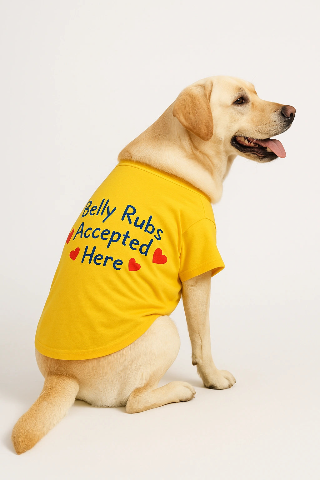 Thunder Tails Belly Rubs Accepted Here T-shirts