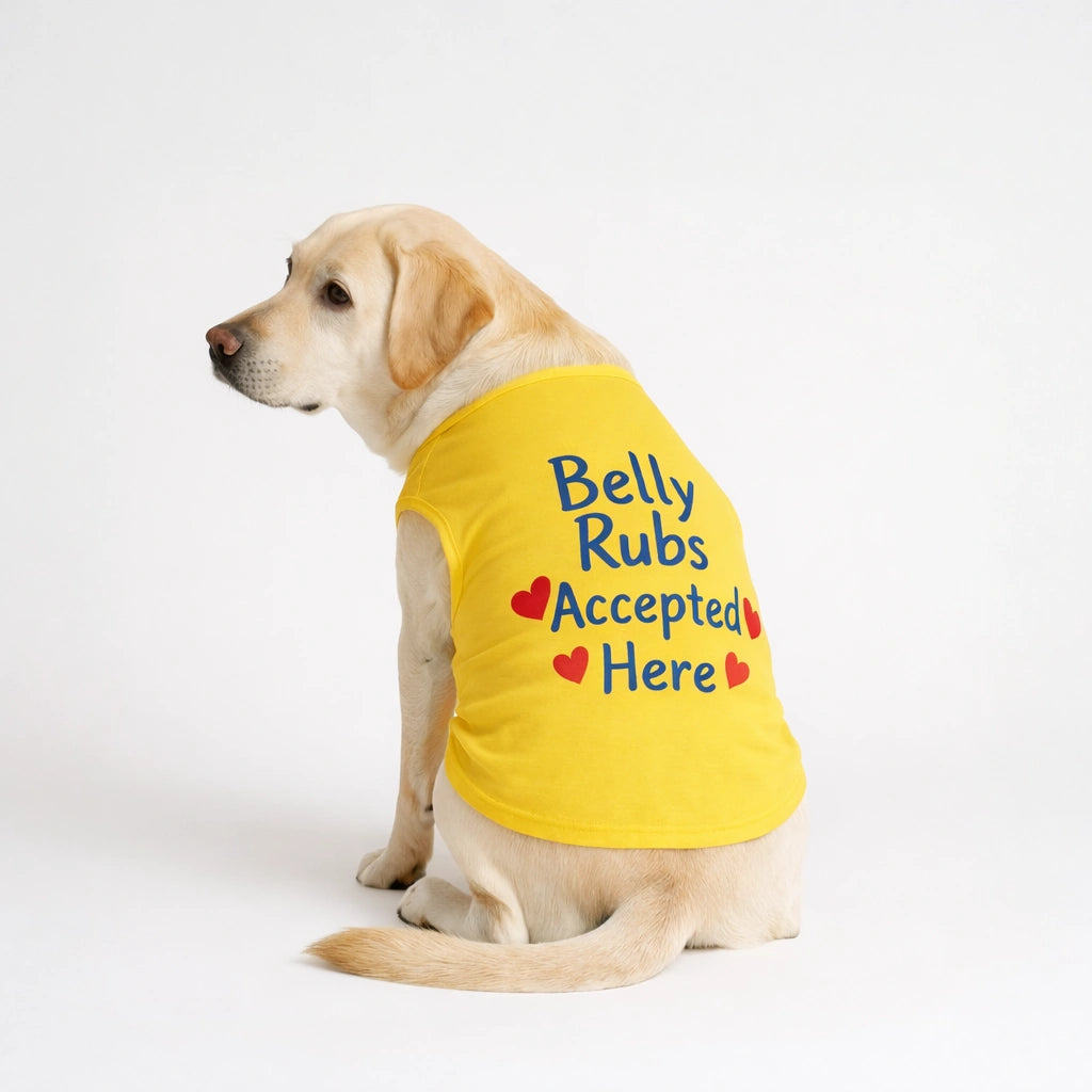 Thunder Tails Belly Rubs Accepted Here T-shirts