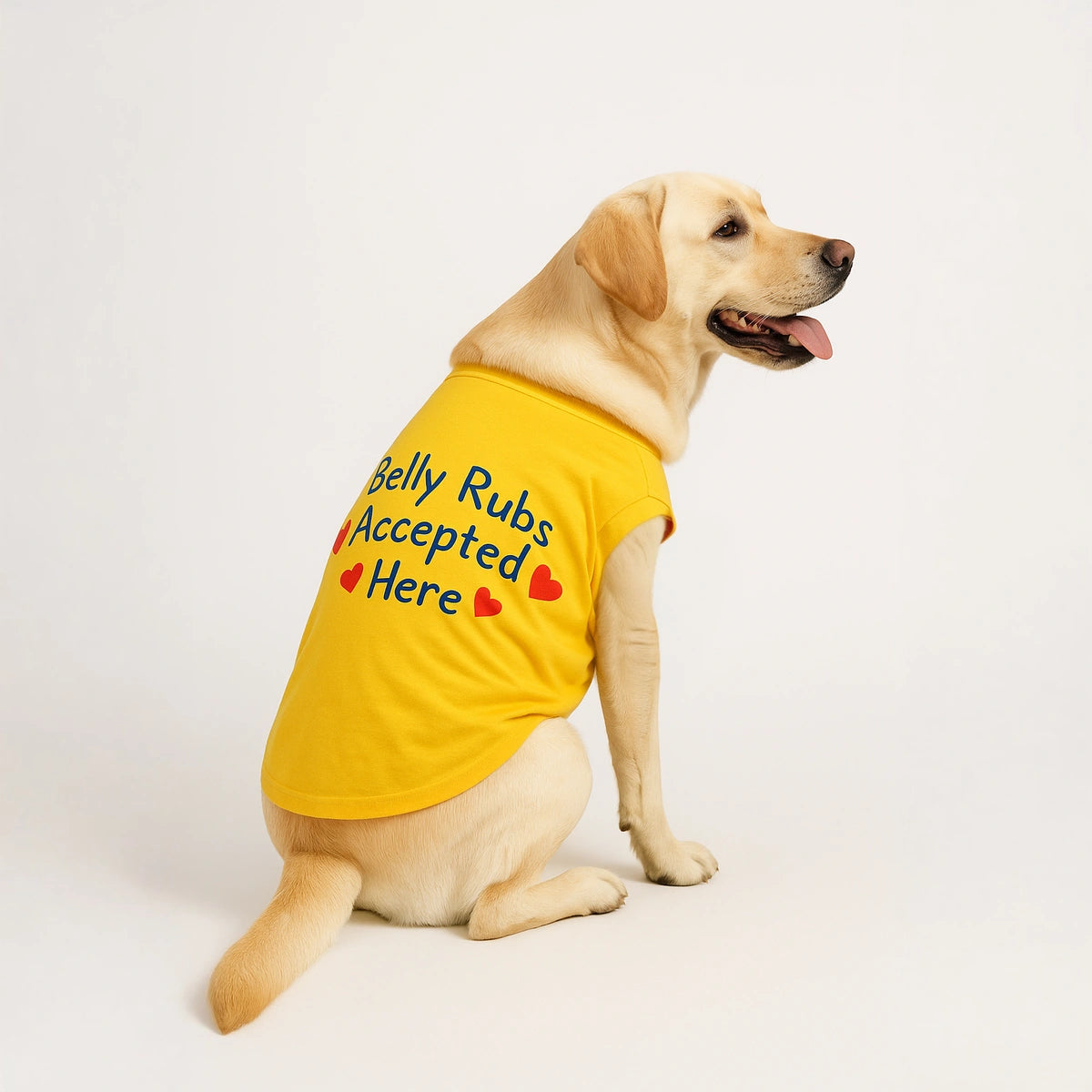 Thunder Tails Belly Rubs Accepted Here T-shirts