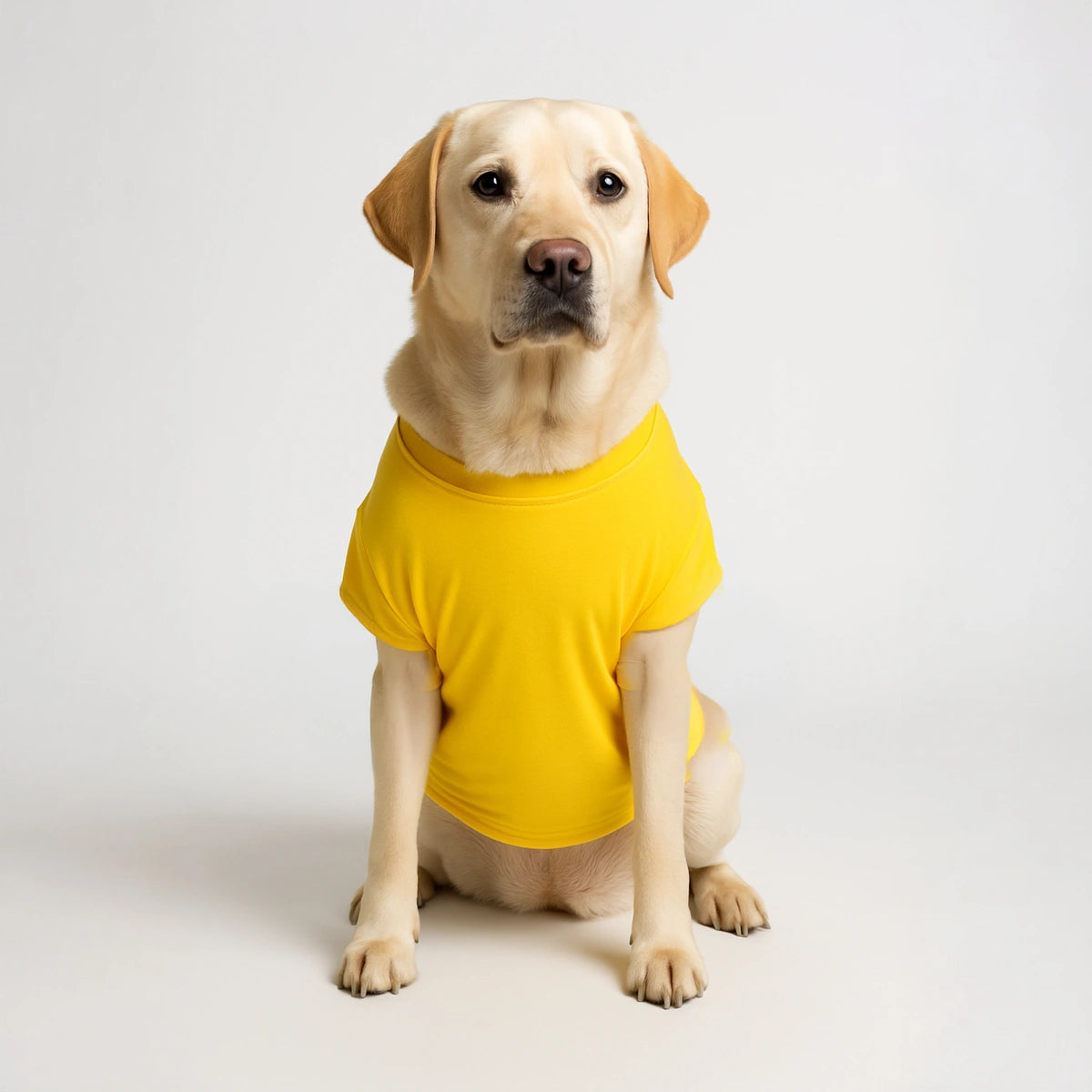 Thunder Tails Belly Rubs Accepted Here T-shirts