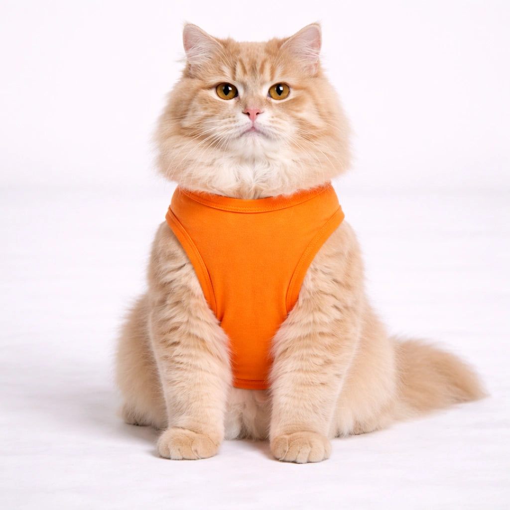 Thunder Tails Cat Graphic T-shirt - Bhari Swag Ahe