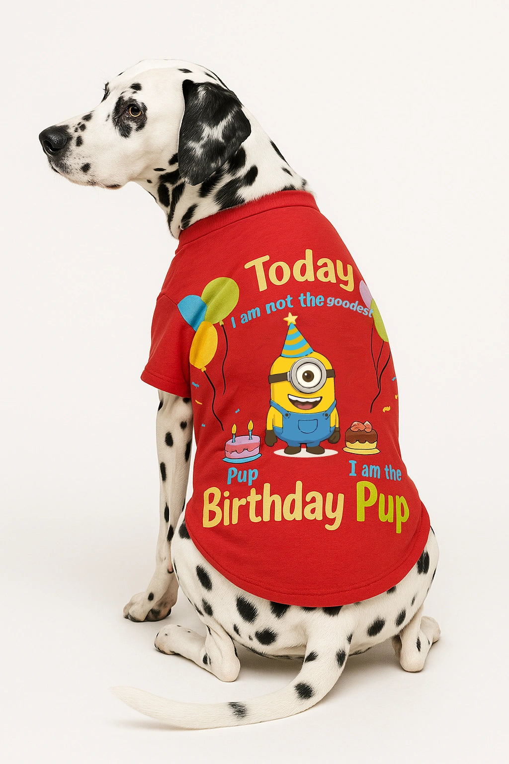 Thunder Tails Birthday Dog T-shirts