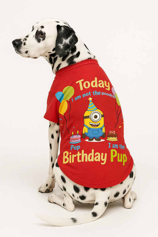 Thunder Tails Birthday Dog T-shirts