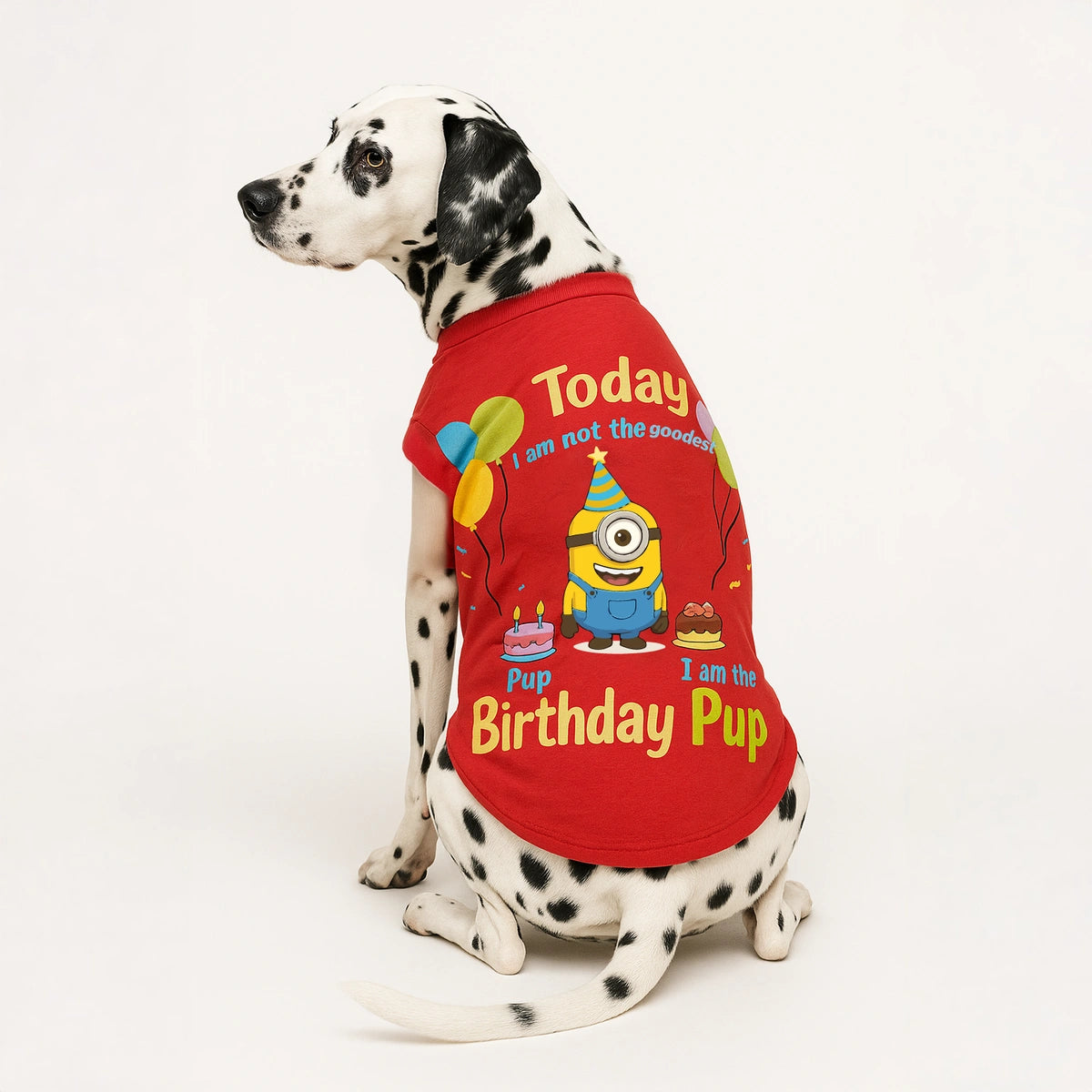 Thunder Tails Birthday Dog T-shirts
