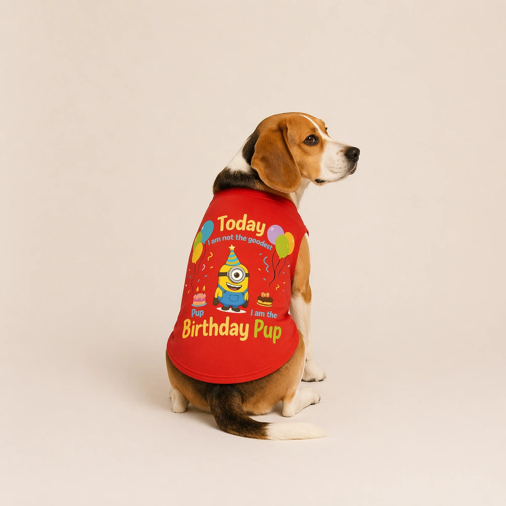 Thunder Tails Birthday Dog T-shirts