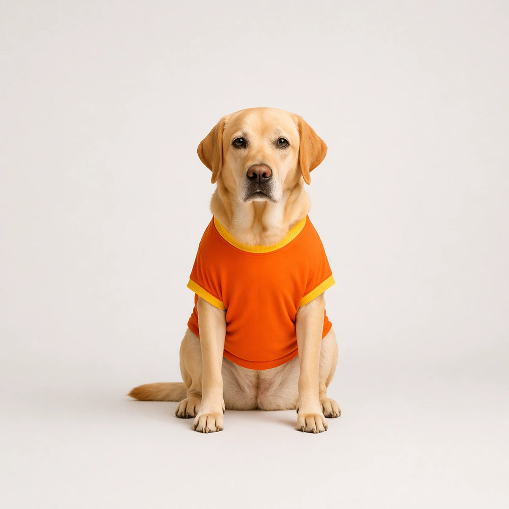 Thunder Tails Born to Bark, Forced to Listen Adjustable Graphic T-shirt