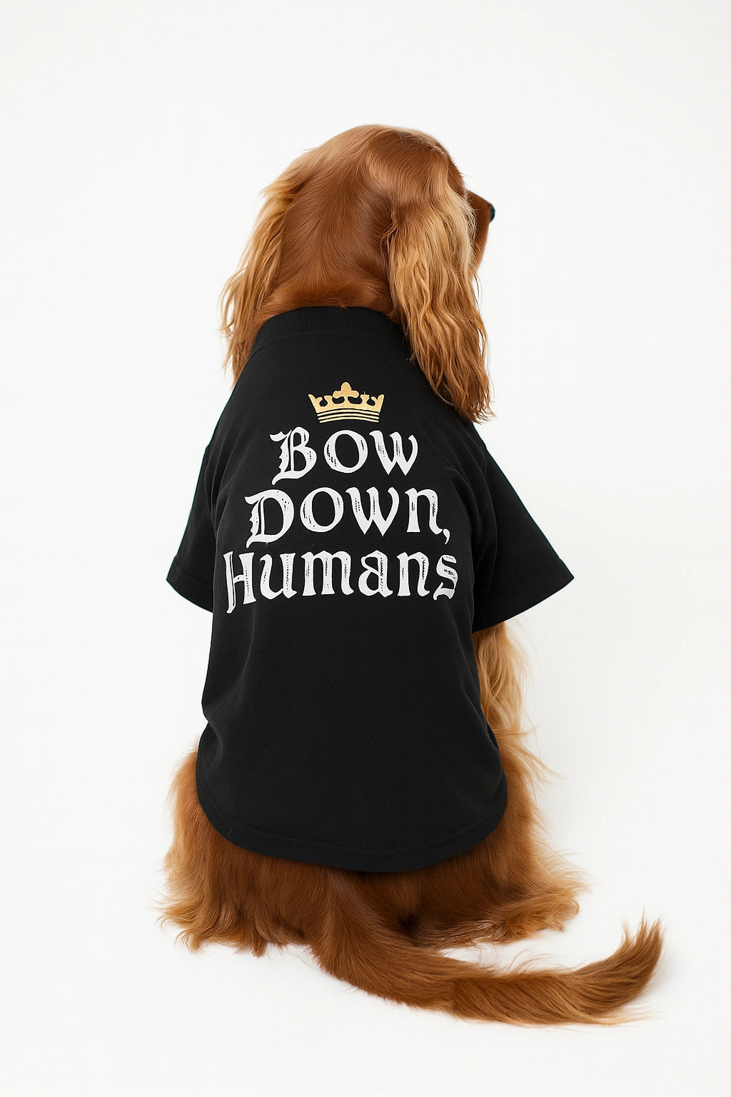 Thunder Tails Bow Down Humans T-shirts