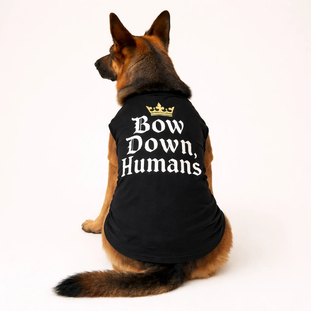 Thunder Tails Bow Down Humans T-shirts