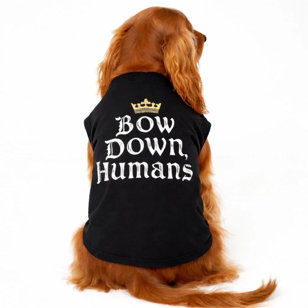 Thunder Tails Bow Down Humans T-shirts