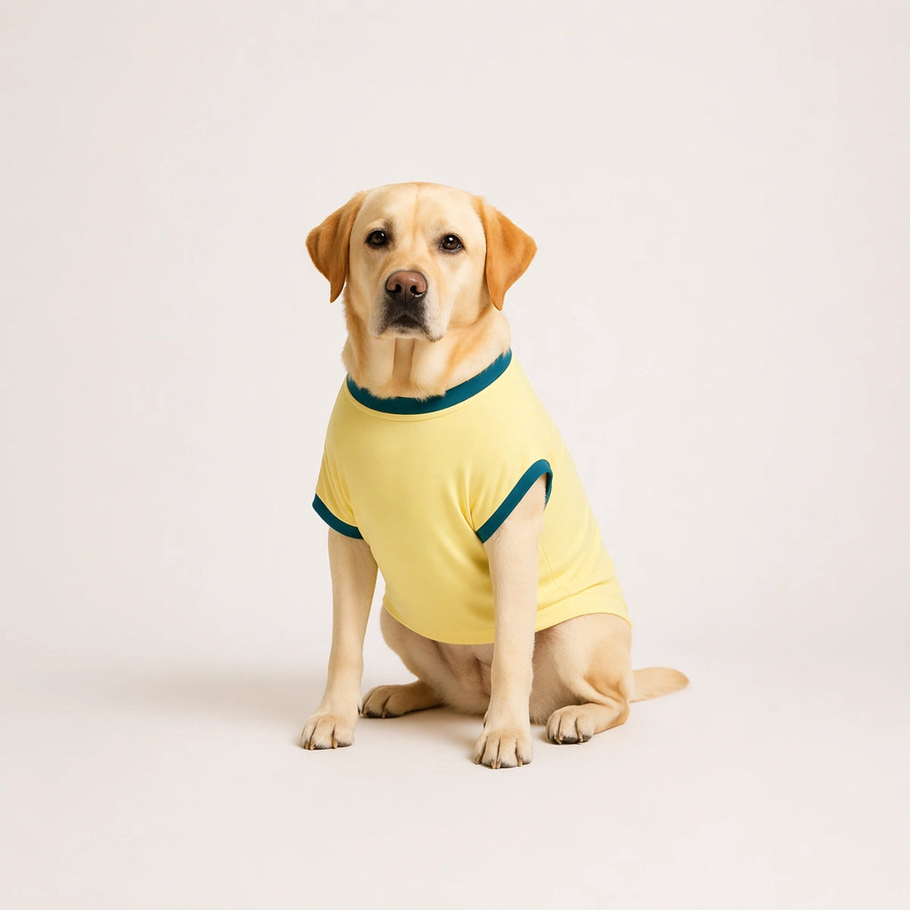Thunder Tails Certified Attention Seeker Adjustable Graphic T-shirt