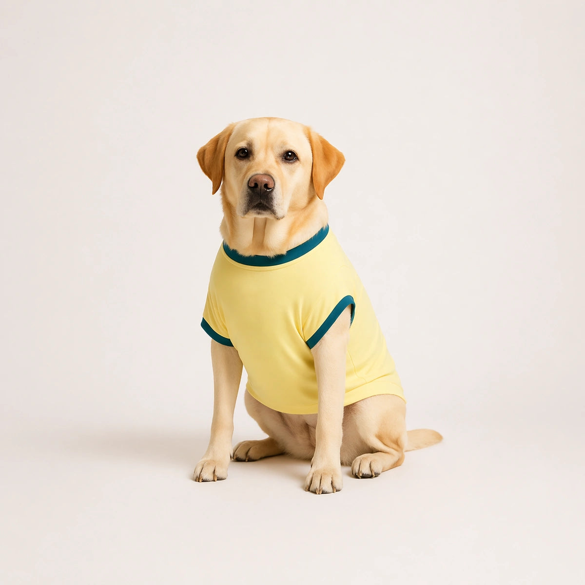 Thunder Tails Certified Attention Seeker Adjustable Graphic T-shirt