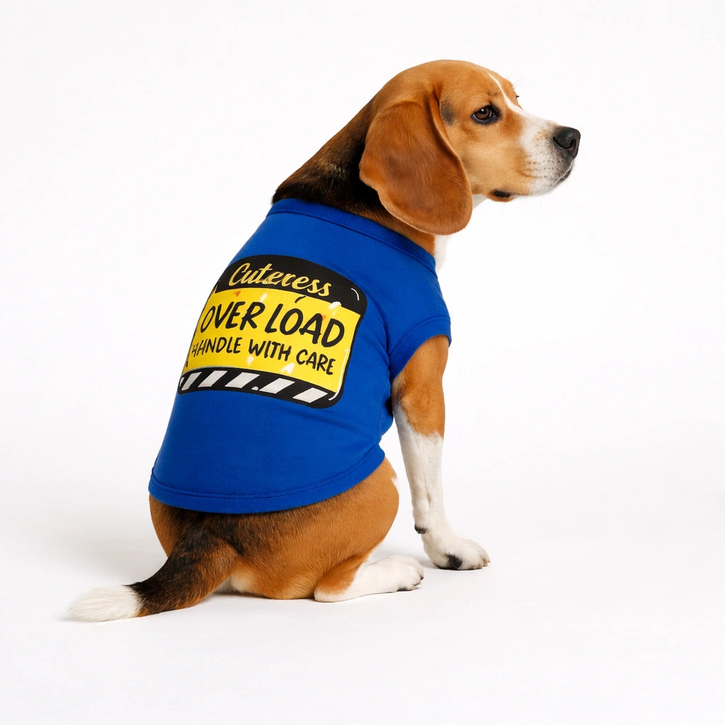 Thunder Tails Cuteness Overload T-shirts