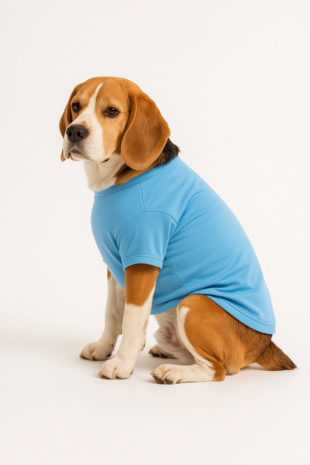 Thunder Tails Master of Mess T-shirts