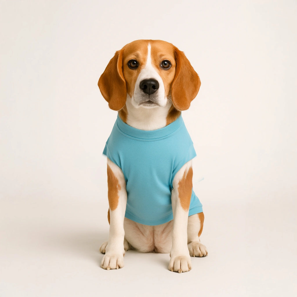Thunder Tails Master of Mess T-shirts