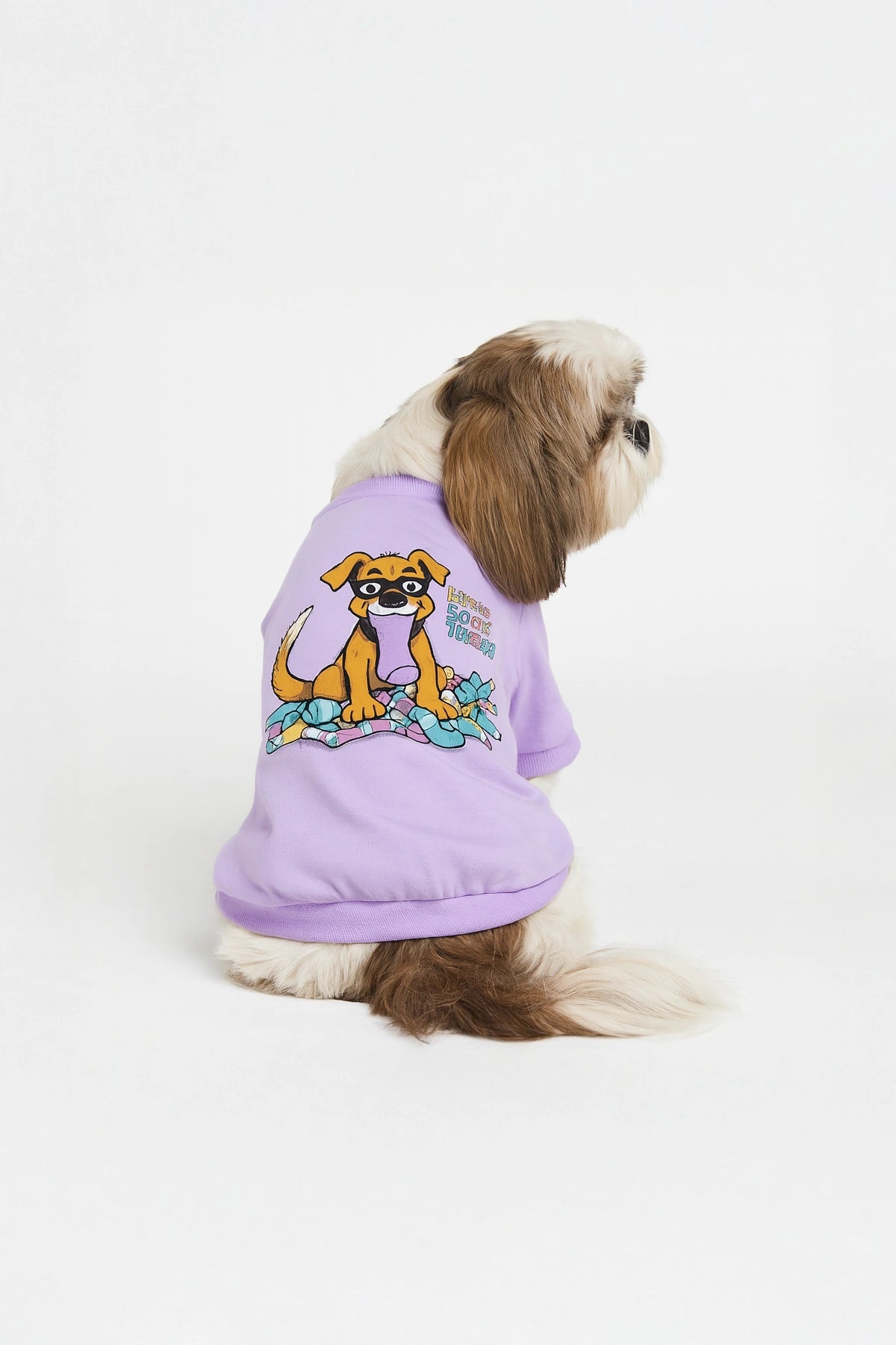 Thunder Tails Master Sock Theif T-shirts