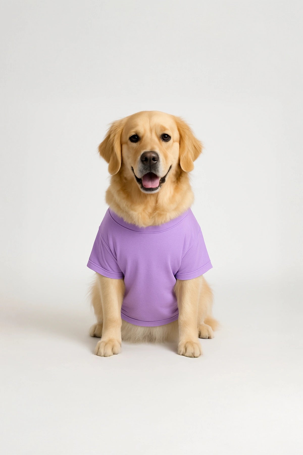 Thunder Tails Master Sock Theif T-shirts