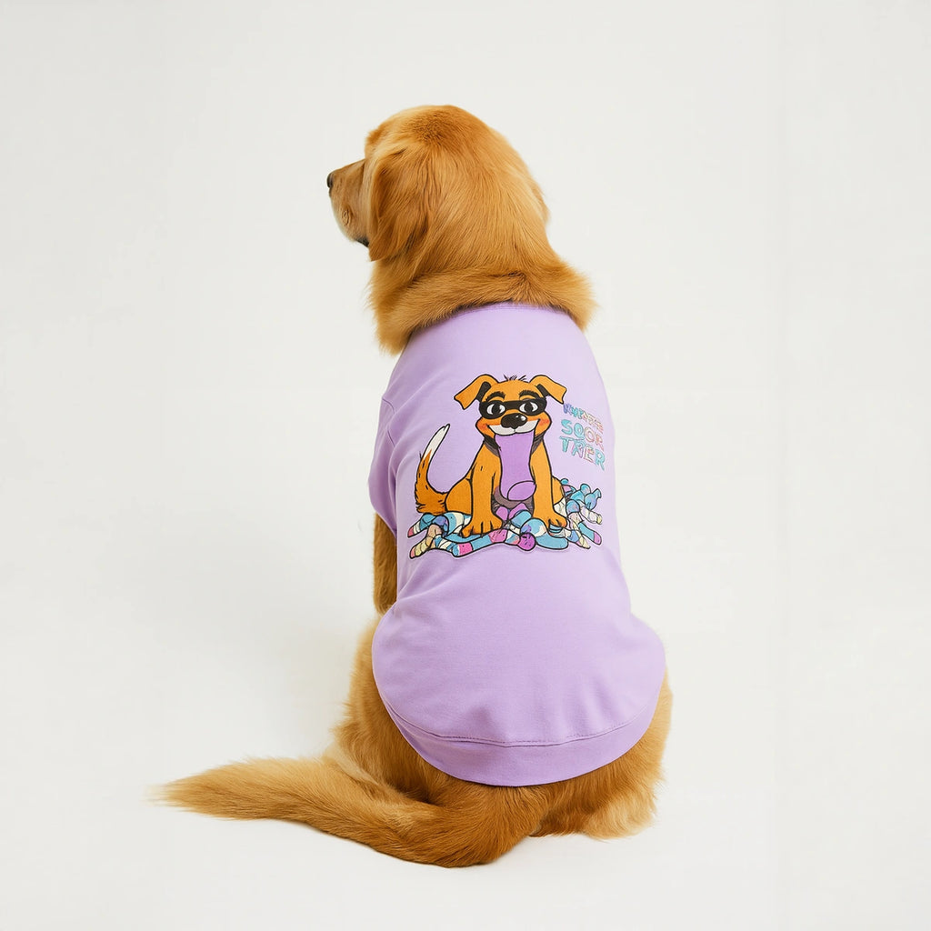 Thunder Tails Master Sock Theif T-shirts