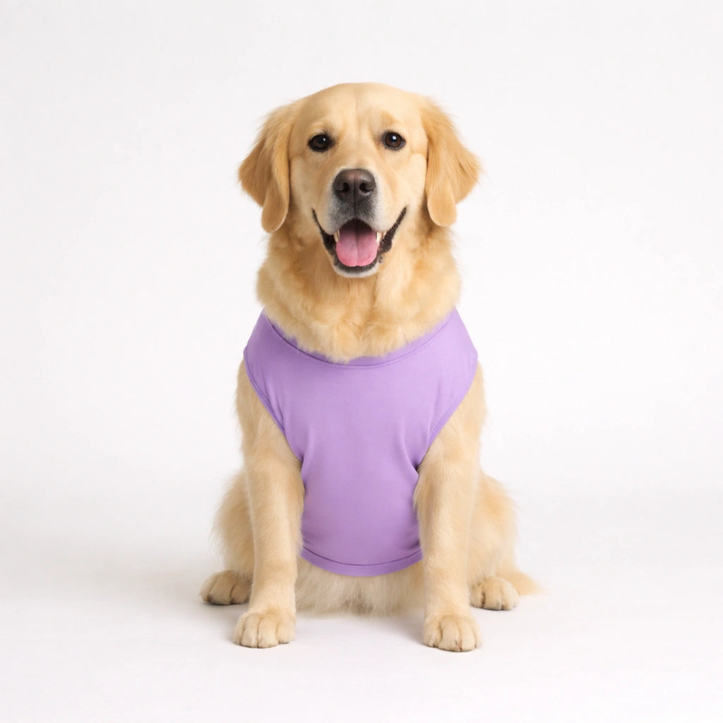 Thunder Tails Master Sock Theif T-shirts