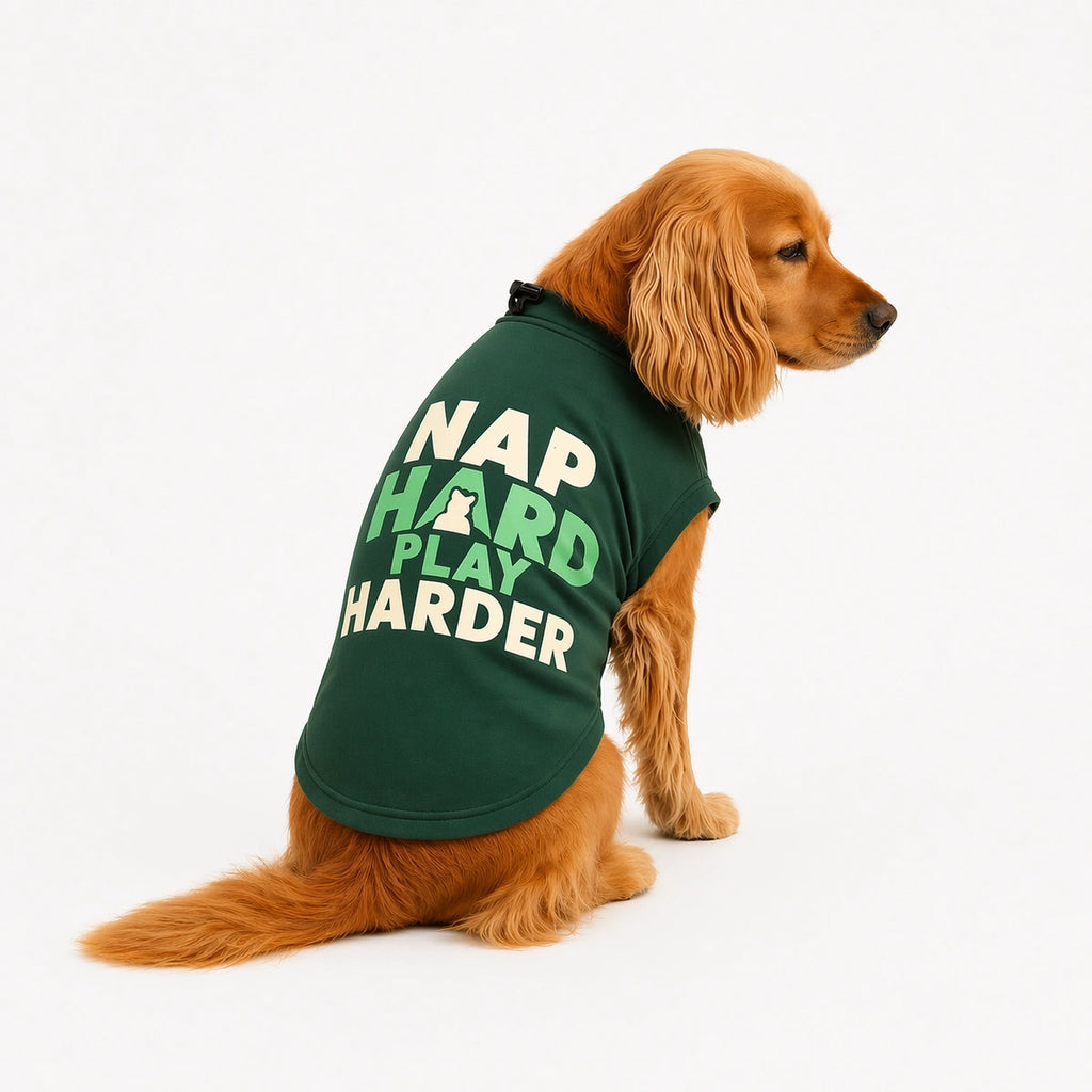 Thunder Tails Nap Hard, Play Harder Adjustable Graphic T-shirt