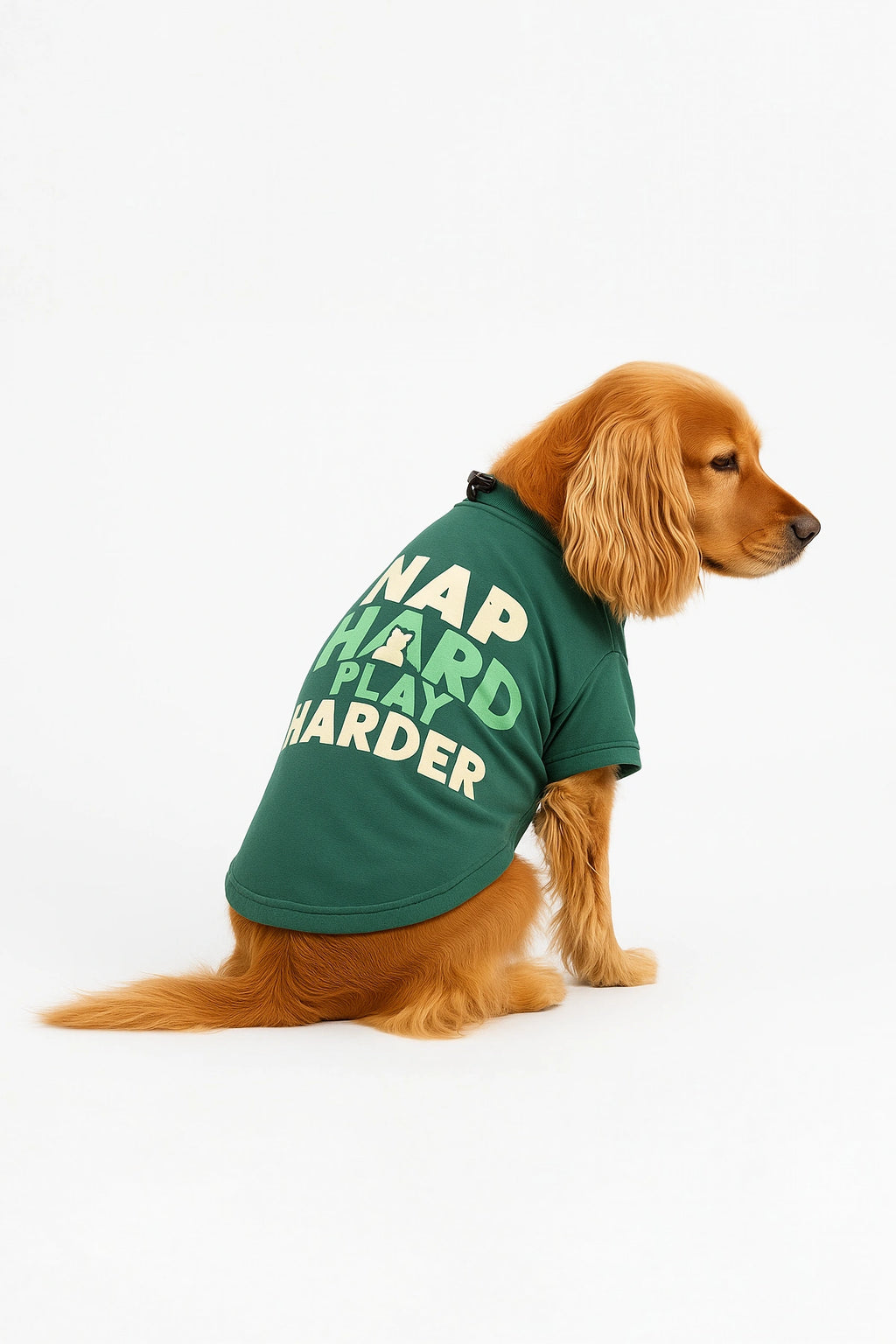 Thunder Tails Nap Hard, Play Harder Adjustable Graphic T-shirt