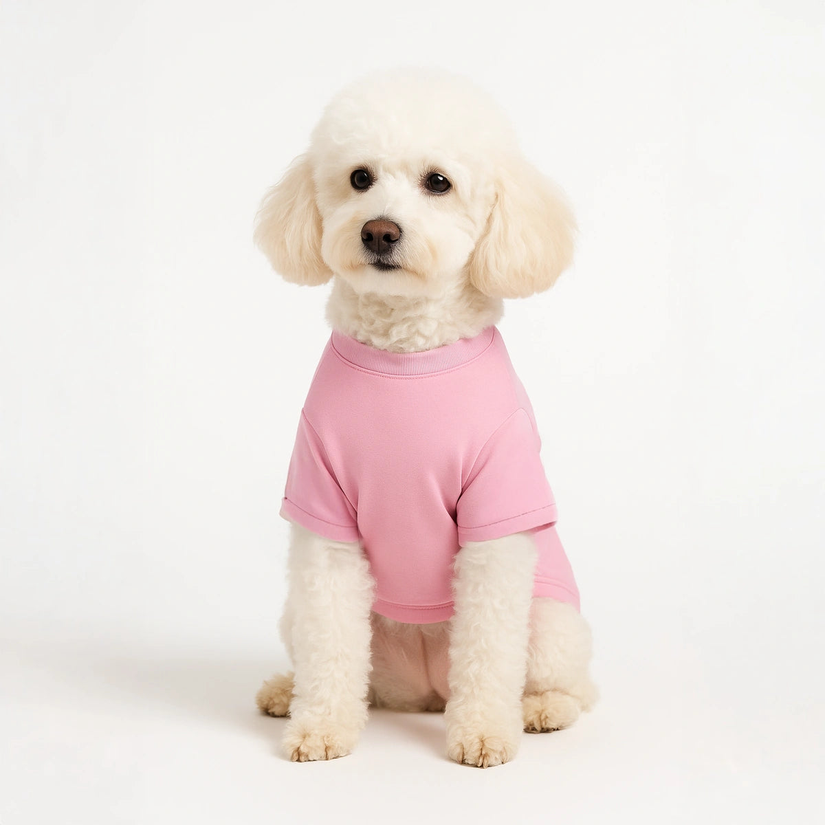 Thunder Tails Pretty Pawsitive Powerful T-shirts