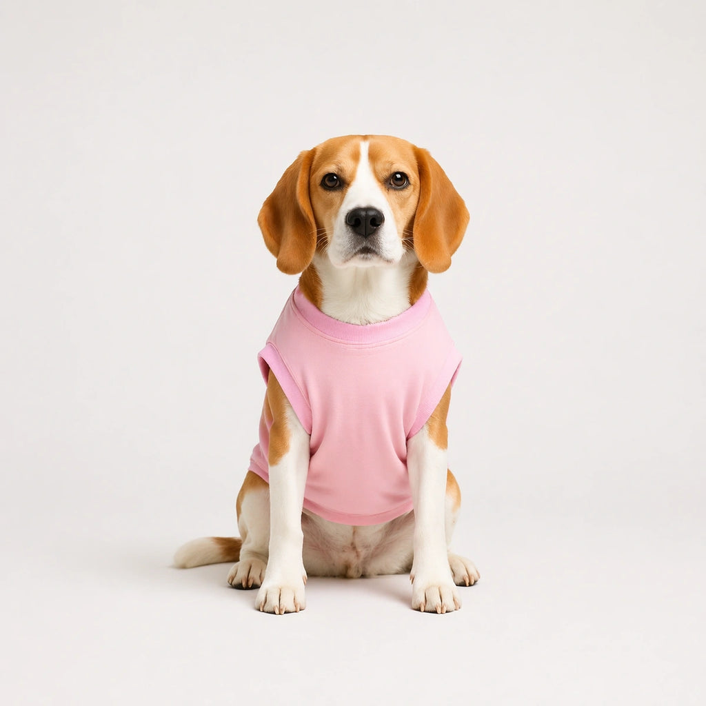 Thunder Tails Queen of Cuteness & Chaos Adjustable Graphic T-shirt