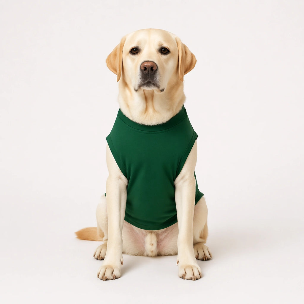 Thunder Tails Snooze Ball Adjustable Graphic T-shirt