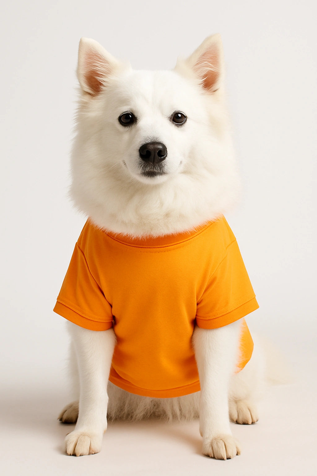 Thunder Tails Sunggle Buddy T-shirts