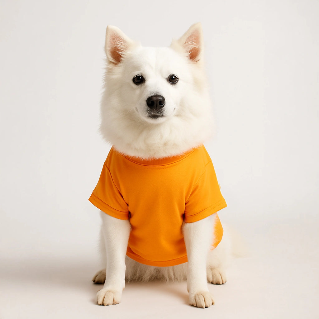 Thunder Tails Snuggle Buddy T-shirts