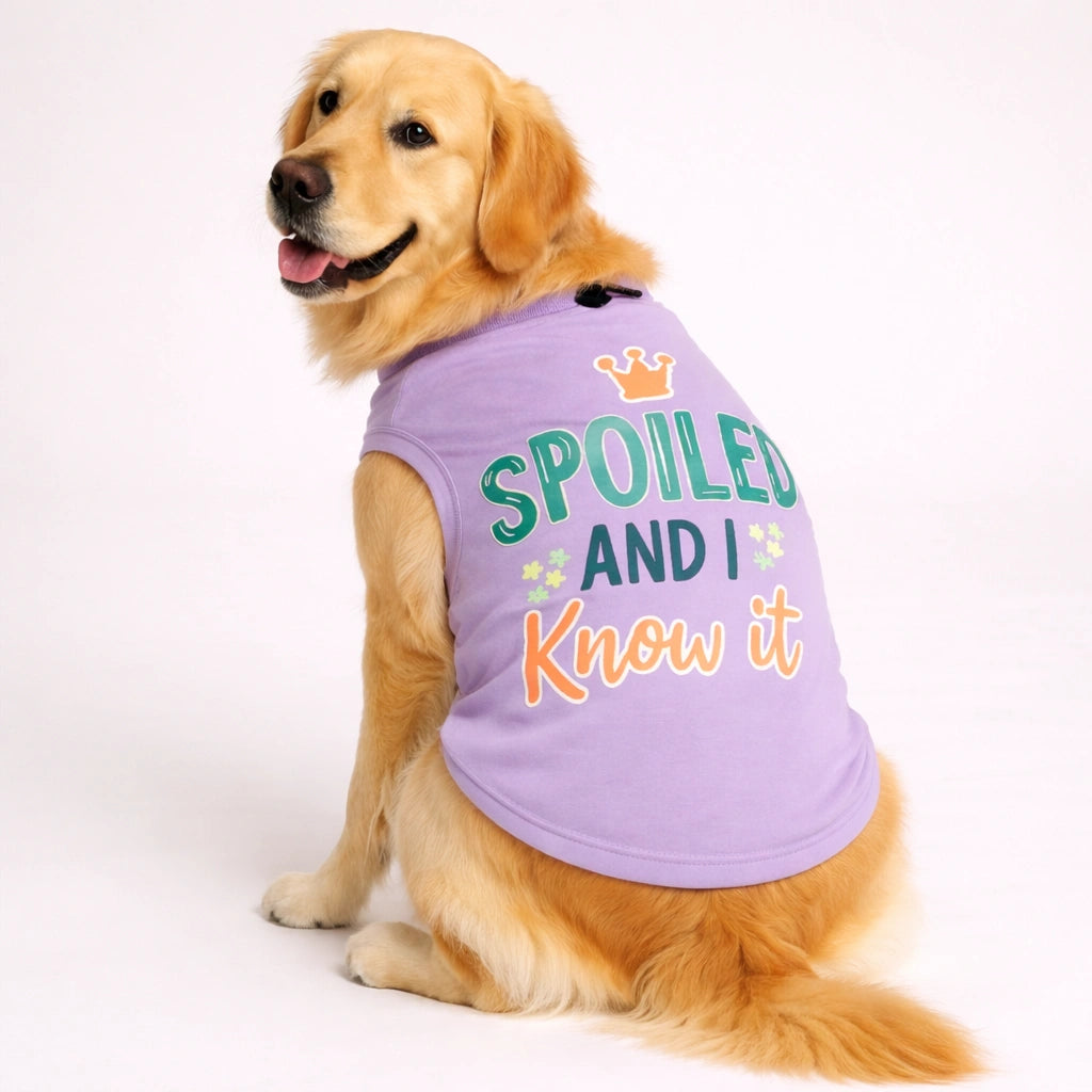 Thunder Tails Spoiled & I know it Adjustable Graphic T-shirt