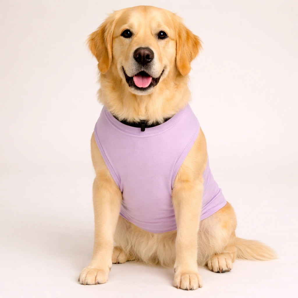 Thunder Tails Spoiled & I know it Adjustable Graphic T-shirt