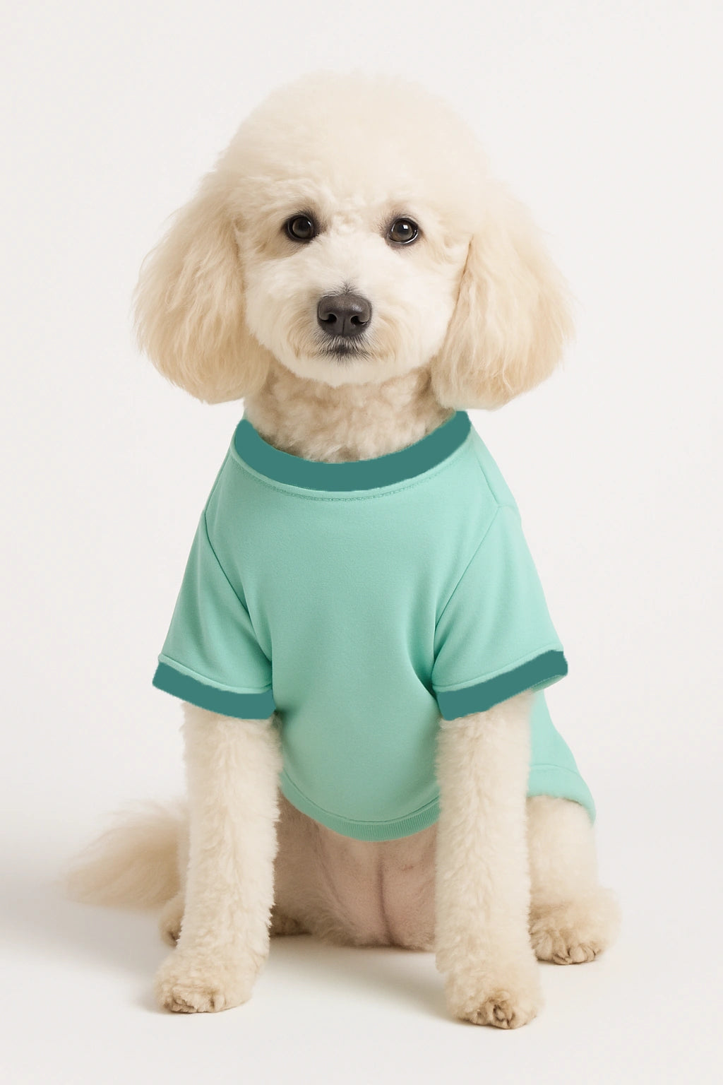 Thunder Tails Tiny But Mighty Adjustable Graphic T-shirt