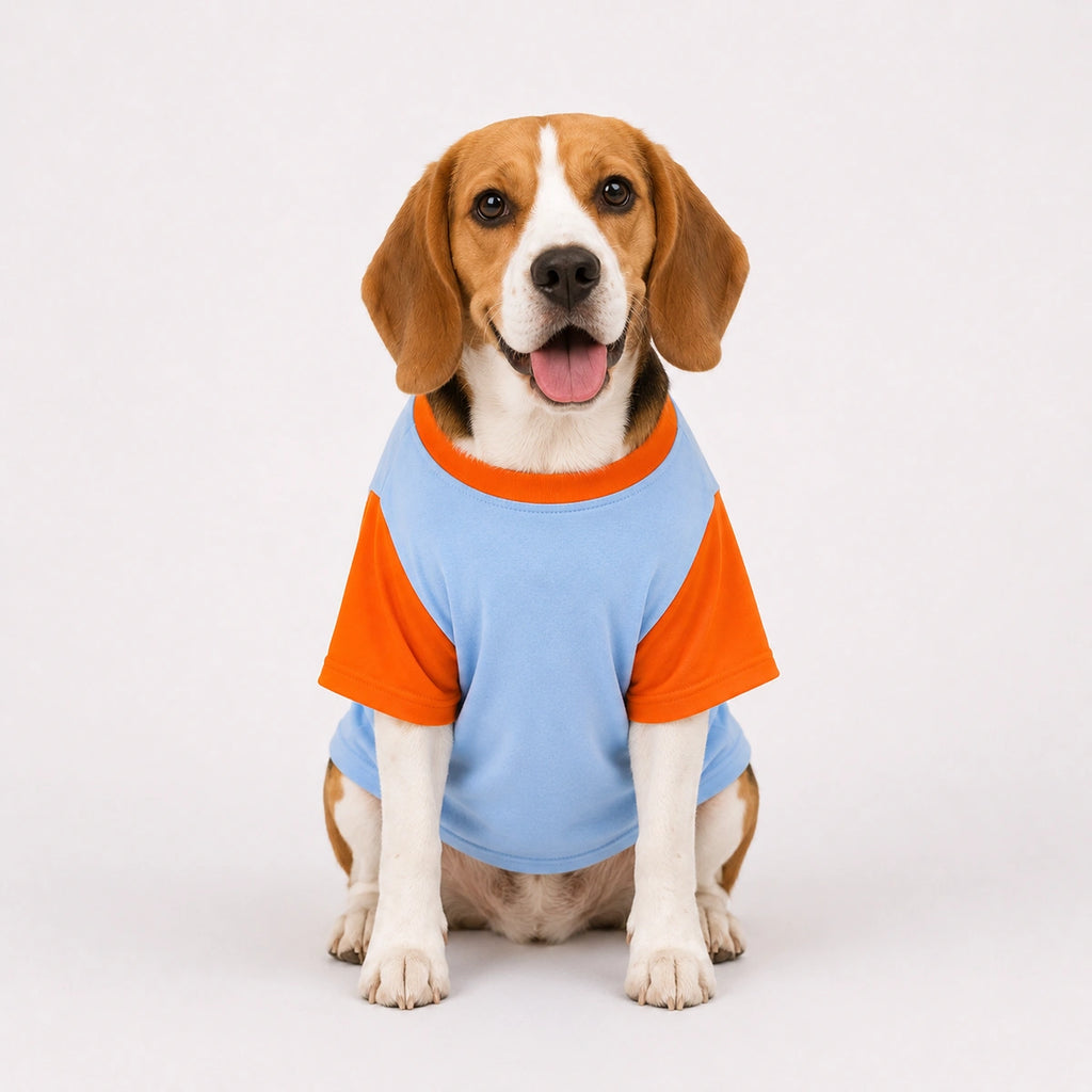 Thunder Tails Lagta hai apun hi bhagwan hai Graphic T-shirt with Sleeves