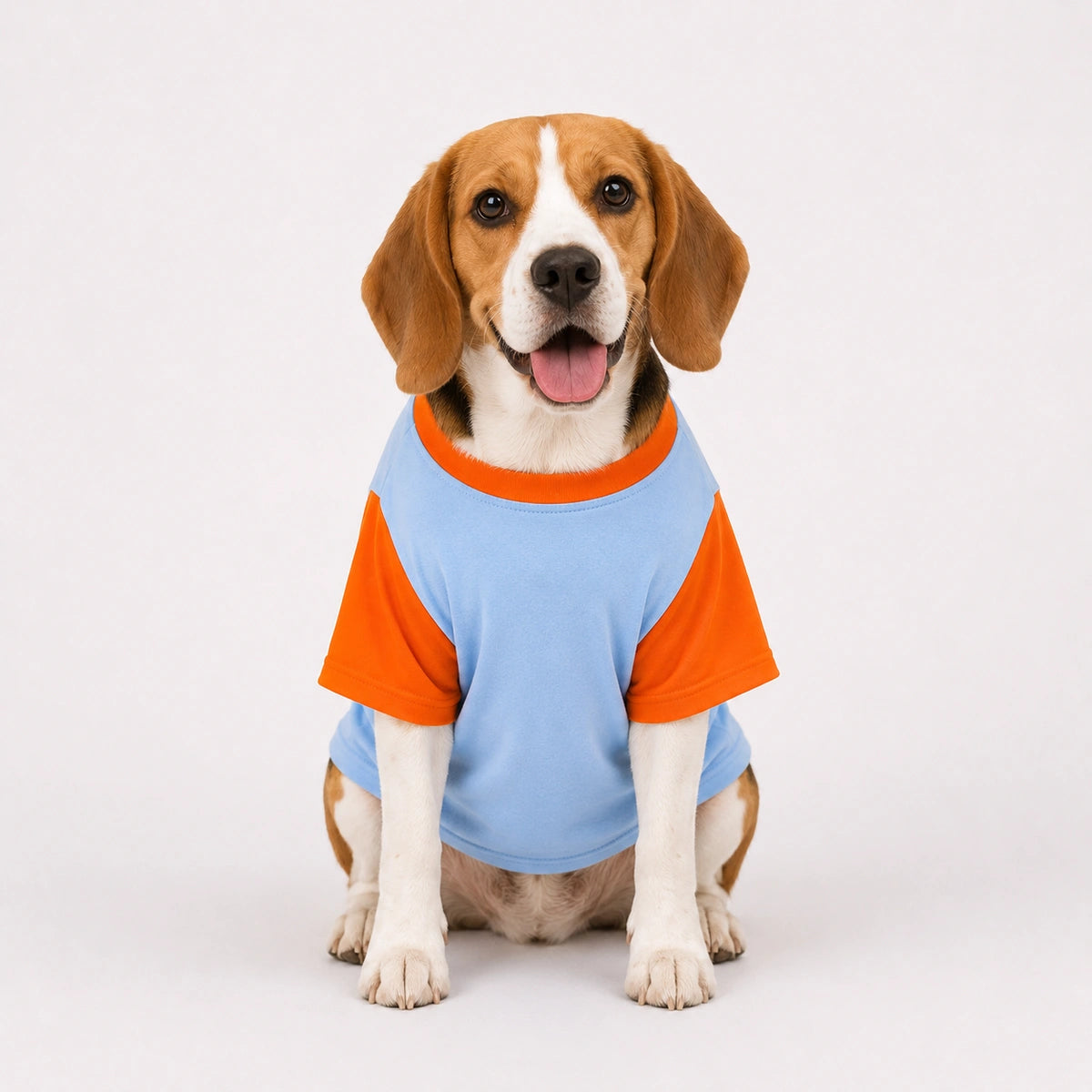 Thunder Tails Lagta hai apun hi bhagwan hai Graphic T-shirt with Sleeves