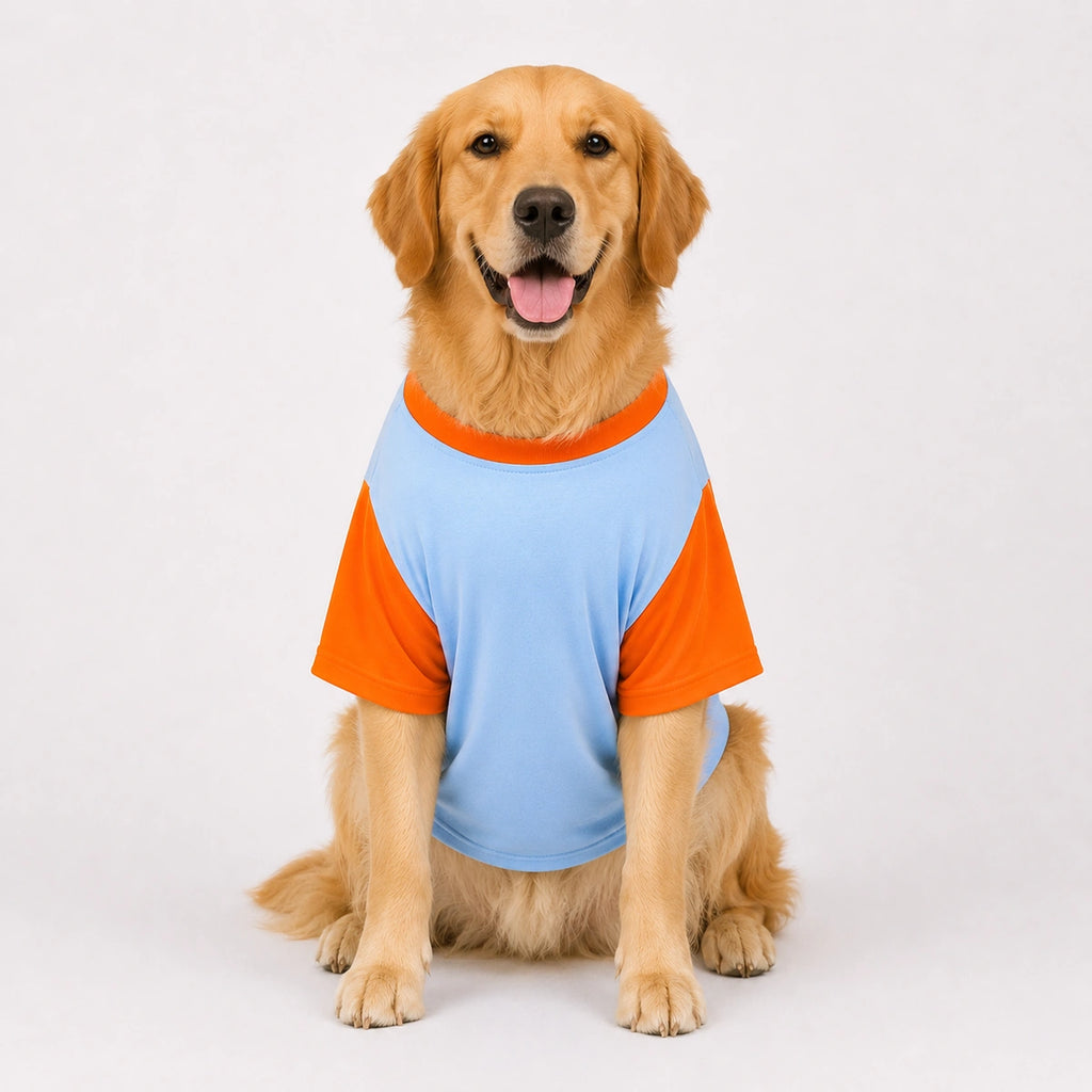 Thunder Tails Lagta hai apun hi bhagwan hai Graphic T-shirt with Sleeves