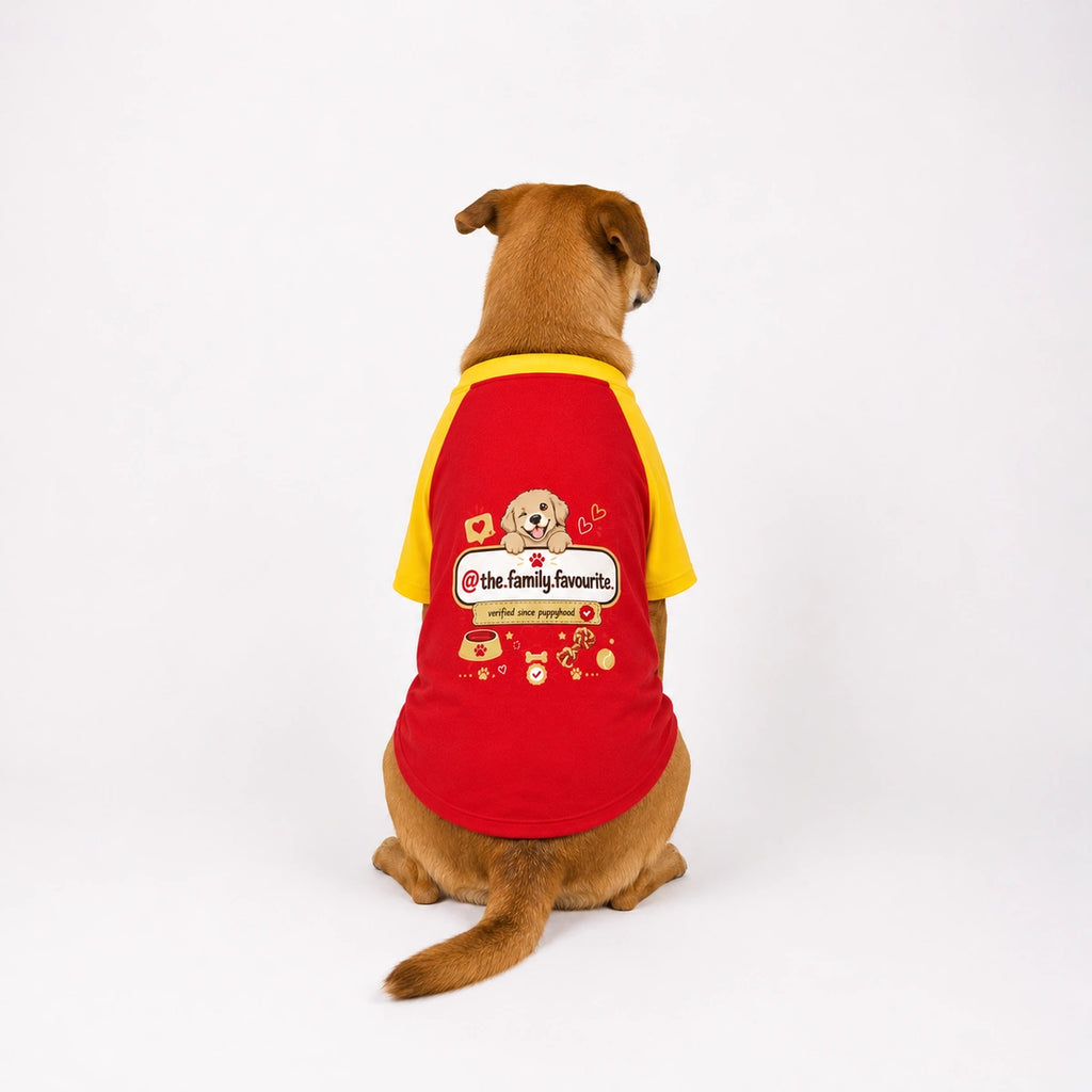Thunder Tails The Family Favourite Graphic T-shirt with Sleeves
