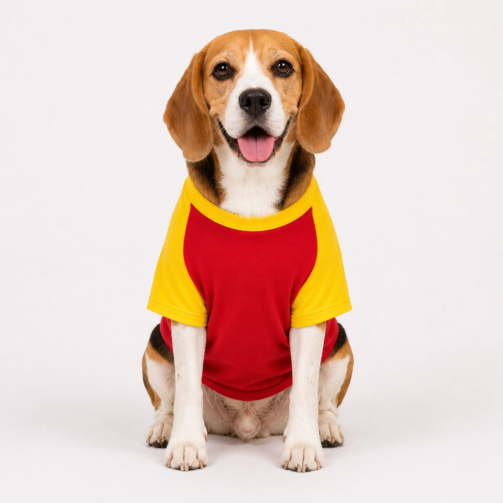 Thunder Tails The Family Favourite Graphic T-shirt with Sleeves
