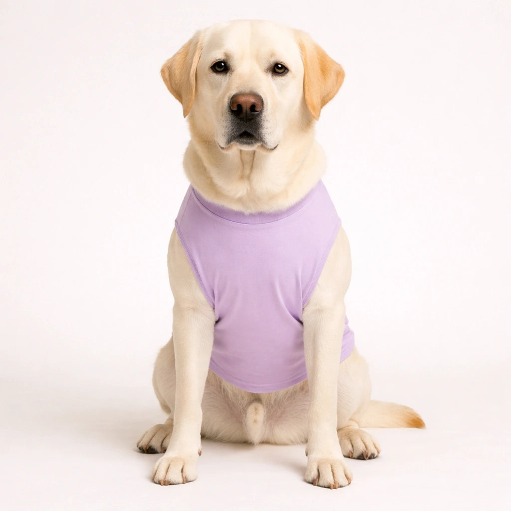 Thunder Tails Zero Chill, 100% Cute Adjustable Graphic T-shirt