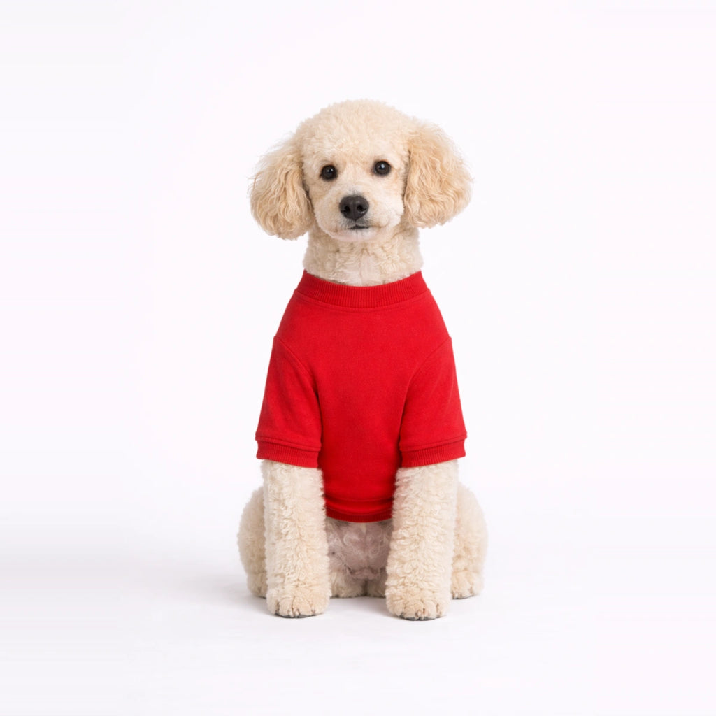 Thunder Tails Fleece Sweatshirt - Red Pocket Teddy